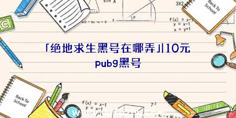 「绝地求生黑号在哪弄」|10元pubg黑号